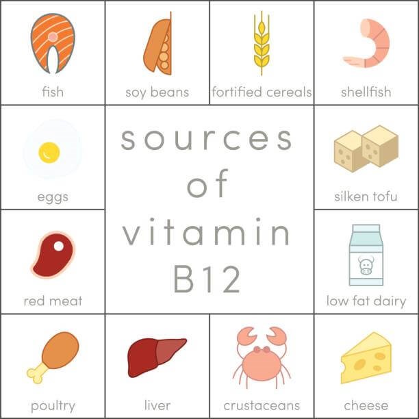 Where can I find Vitamin B-12